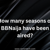 How many seasons of BBNaija have been aired