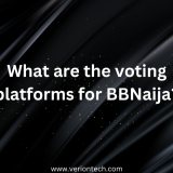 What are the voting platforms for BBNaija