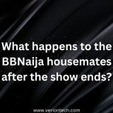 What happens to the BBNaija housemates after the show ends