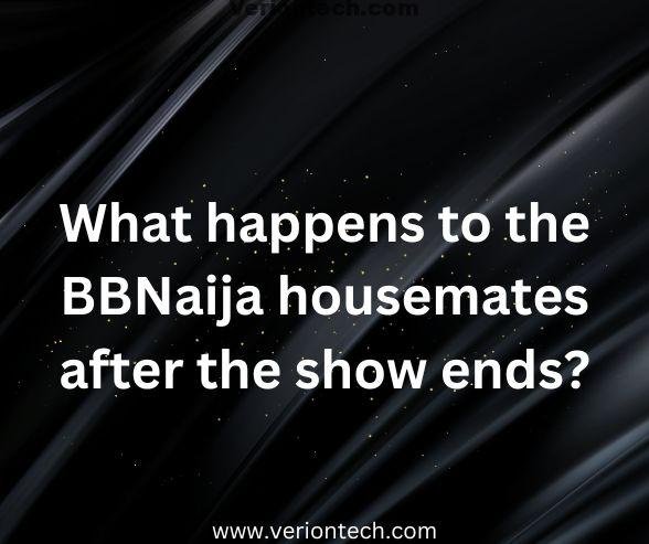 What happens to the BBNaija housemates after the show ends