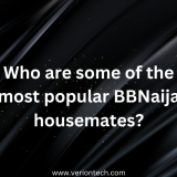 Who are some of the most popular BBNaija housemates